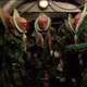 Image for article titled Every Single Doctor Who Story, Ranked from Best to Worst